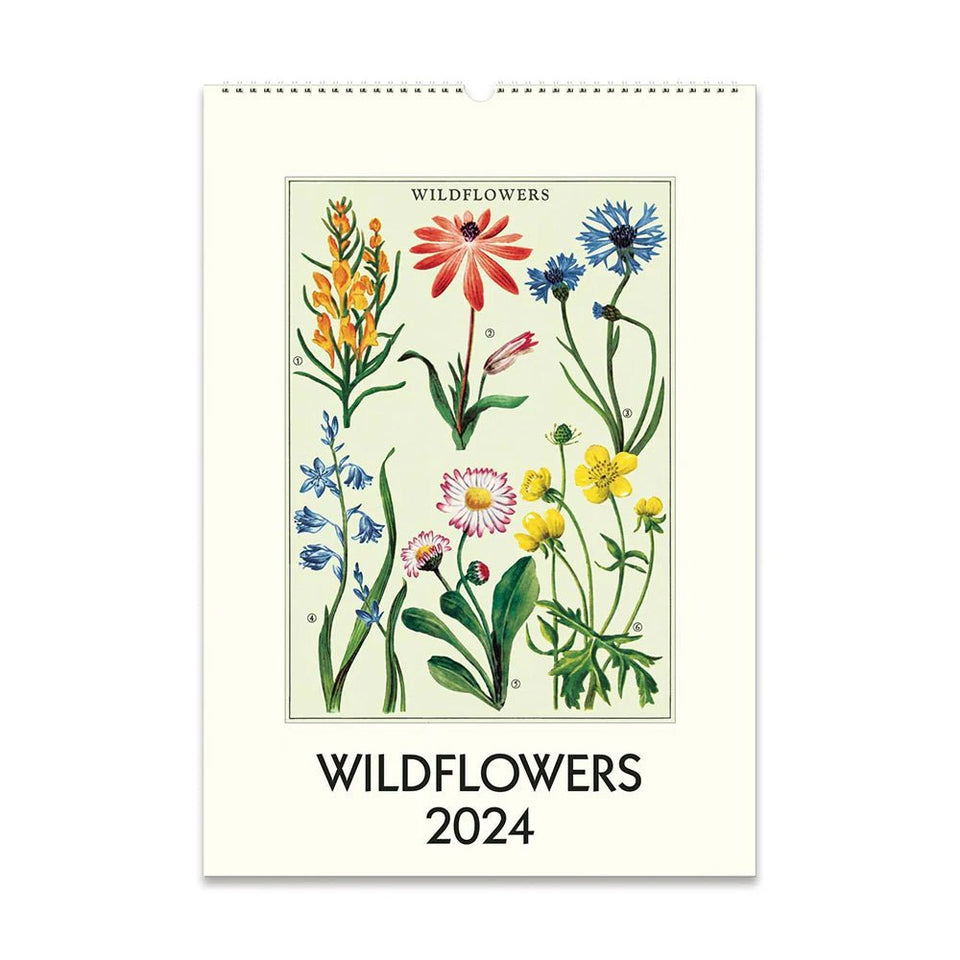 Cavallini & Co 2024 Wall Calendar The Flower Crate