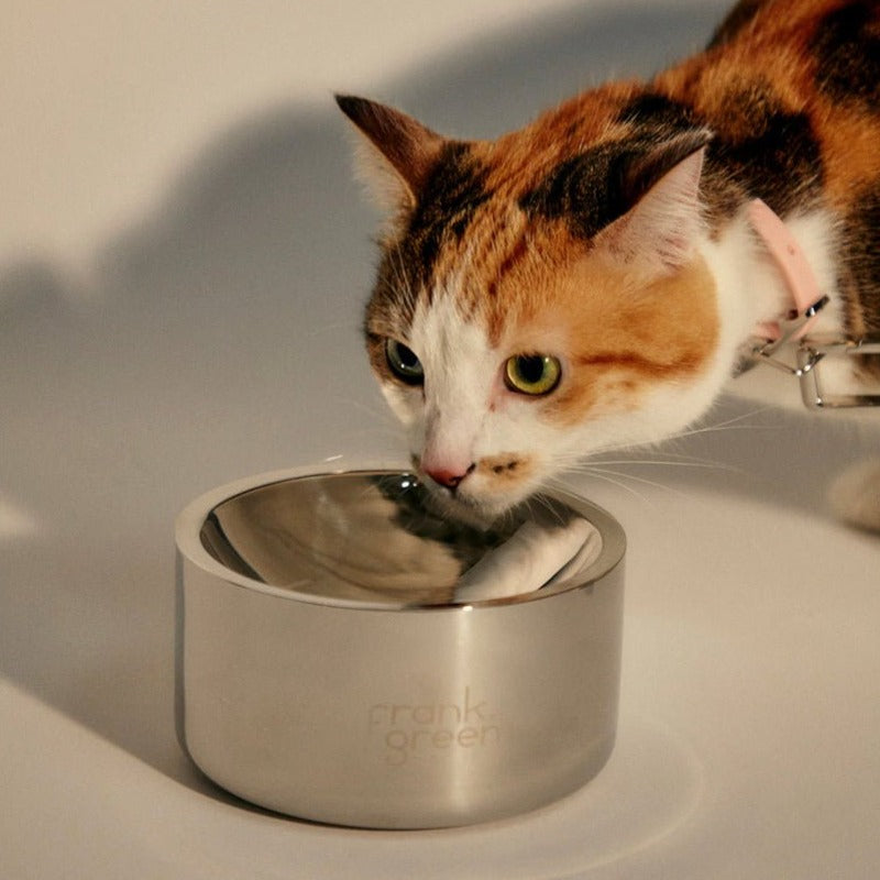 Frank Green - Stainless Steel Pet Bowl - The Flower Crate