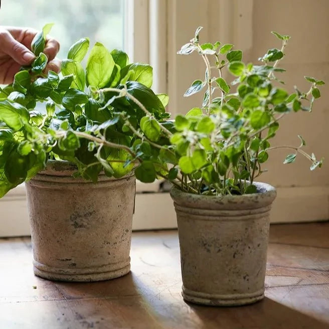 Gris Planter Pot - The Flower Crate