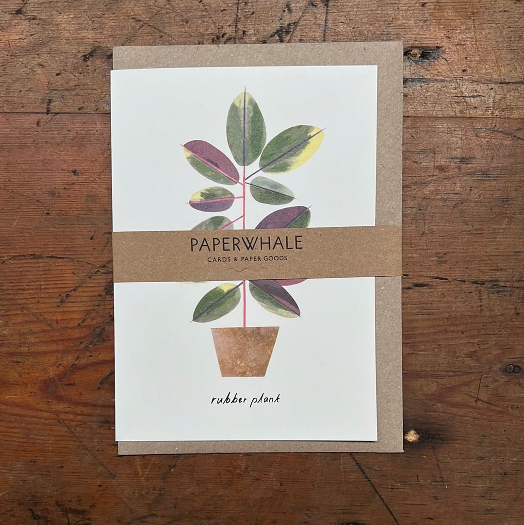 Paper Whale - Plant Gift Card - The Flower Crate